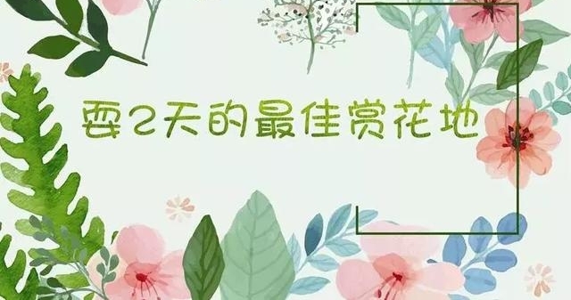 ����������ˣ8�죬˭������ȥ�Ķ��ͻ�����������΢��ֱ����ta