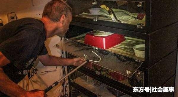 �������������Ը�ö���ҧ100��Σ�����ȴ�����������������