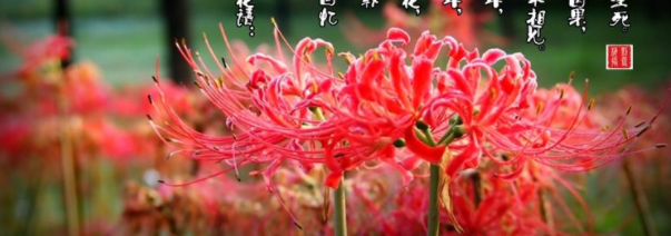 ���ӷ�ǰ���˼����ɫ�Ļ������Ѹ����һ�����̲�ס���ˣ�