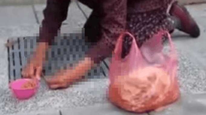 �����̣���Ҫ�߹�����������һֻ����è