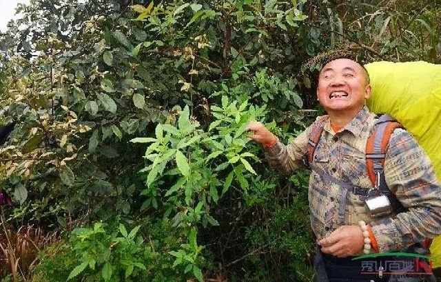 ¿�й���ƺ���ڶ��졷