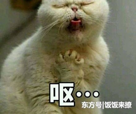 �������ã����ģ������þƵ���ˮ�������ڿ㱻ץ�˸����С���