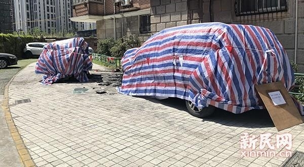 ��Ƶ | �Ϻ�����·��һ�Ż������� smart���ճ�＂�Ǽ�＂