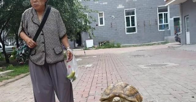 ��Ѯ���̴��޹�����ɷ羰��������̫�ã����������˼���