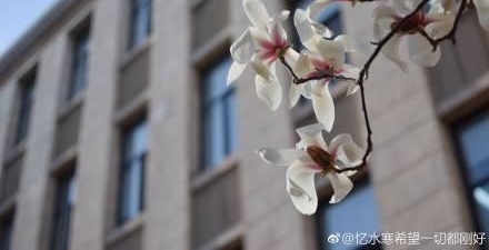 �����Ĵ�������������������ߵľ�ɫ����ڴ�ҵ��۾��