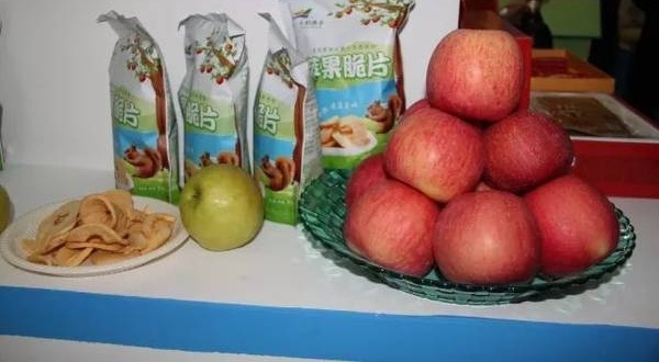 2018西安丝绸之路国际旅游博览会召开在即,小编带您一探究竟