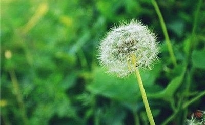 ũ����ġ�ҩ�ݻʺ󡱣��ܺõİ����������գ���߶Լ�����������