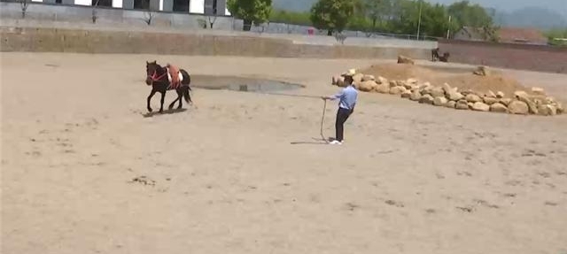 ���������ޱ��� ���������ܷ�������Ը���Ͽ���