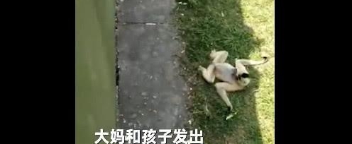 ���賯����Գ�¿�ˮ����������һ���£��ɷ����������޶�