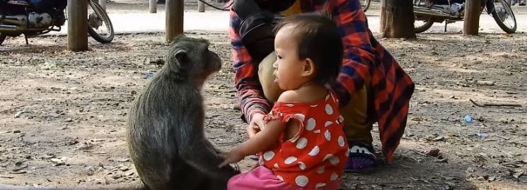 小妹妹在公园玩耍,没想到回家时猴子抱住女孩不让走,众人笑喷