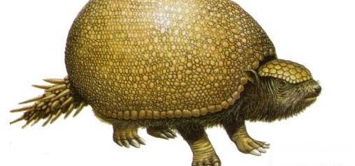 河边发现长满黑色鳞片的“石蛋” 经鉴定约一万年前古老生物