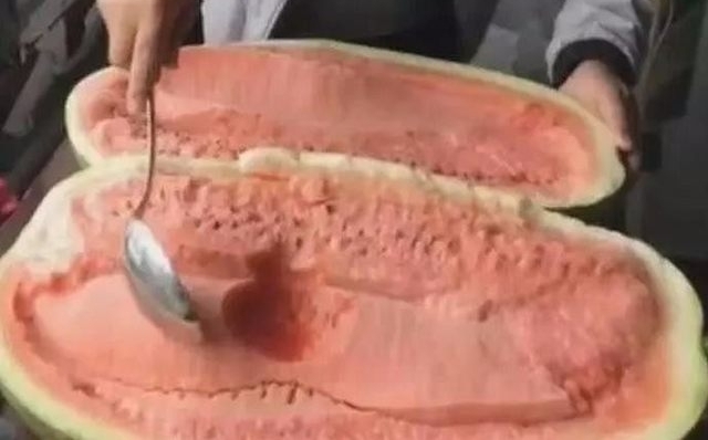 农村大爷种出了100斤的大西瓜