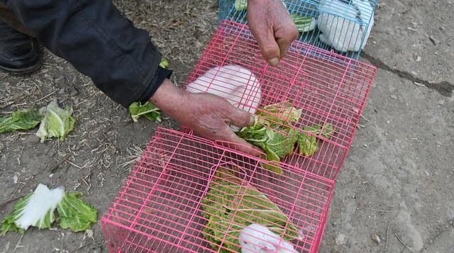 沉迷赌博输掉十二万,逼妻子离婚,她说一句话,从此戒赌
