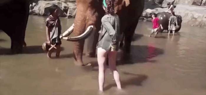 Ů�Ӻ��ĸ�������ϴ���ӣ�˭�Ϲ���ͻȻŭ����������һĻ��