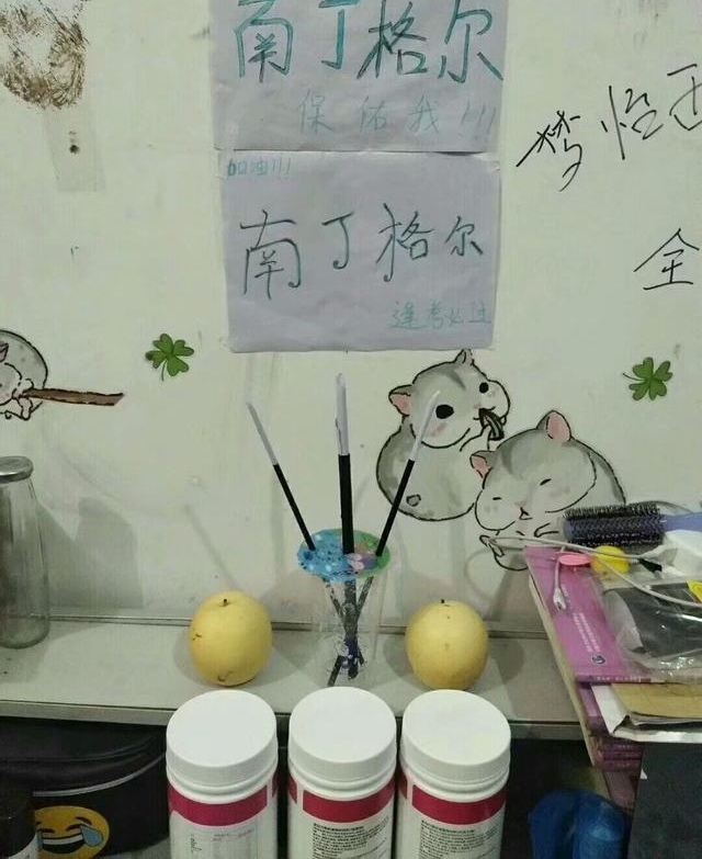 五月份的护考要来了 学医的同学很是躁动啊 网友:痔疮都坐出来了