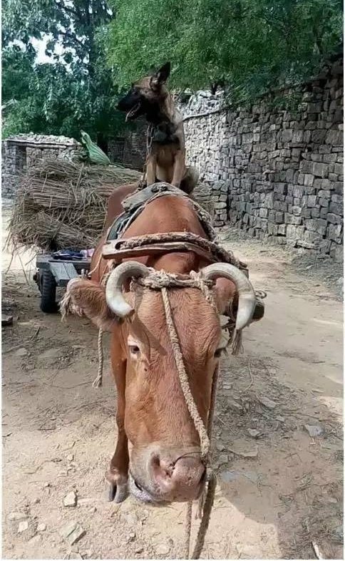 ���Ƿ�̸�����·棺�������Ӱ��