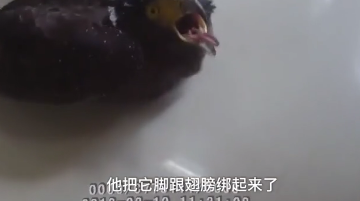 女子买奇物给朋友补身体,公安一看被吓出一身冷汗,幸好救下来了