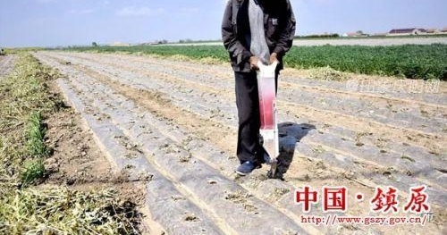 ��ԭ�����������Ĵ崺��С��