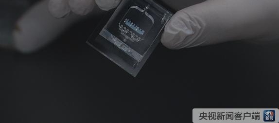 ���ϴ�ѧ�з����ɱ�ɫ������оƬ��