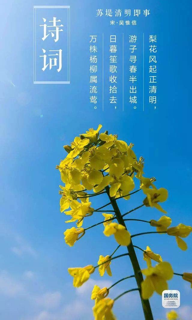 ��������ح�滨�������̣�̤������ʱ