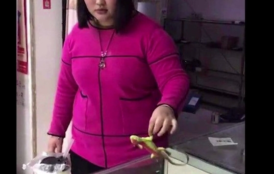 ��֮���ԡ��ǹ������ߺ������Ůȴ�Ŵ�ʧ�ܣ�Ϊ�˺ܽ��ǣ�