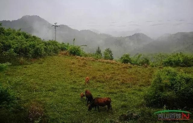 ¿�й���ƺ���ڶ��졷