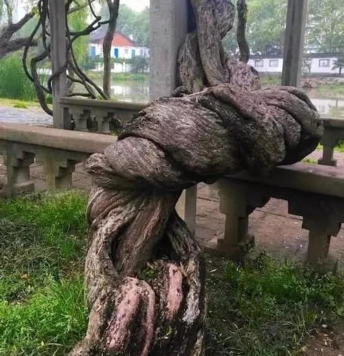 ����ס����԰������150�����ˣ�������ô����