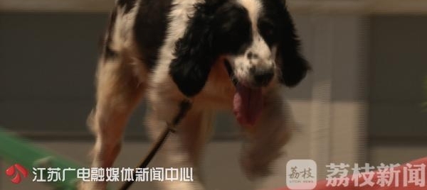 �봨�����Ԯʮ���� �����Ԯ���Ѿ�Ȯ������