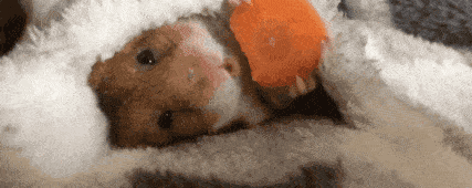 ������ΪʲôԽ��Խ����Ϸ�������޸��������ˣ���