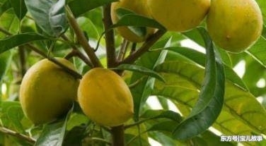 �⼸��������ӣ��Թ��ľ��������׵���Ǯ�ˣ���Թ��ļ��֣�