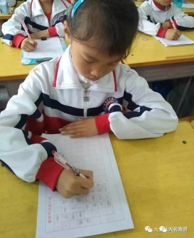 ��˵��ͨ�� д�淶�֡���ʵ��Сѧ��У���淶������д����