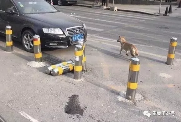 ����������ͯ����ҧ�� ������ץ��10��������Ȯ
