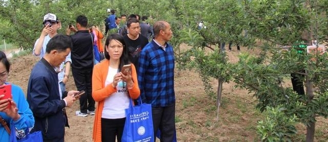 û�뵽���������ĵ�����ѵ