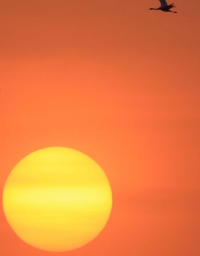 �����й�|�»������������Ƭһ�ܾ�ѡ