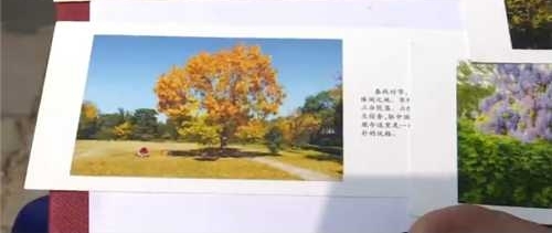 Ůдĺ＂Ѱ＂Ϊת ʧ