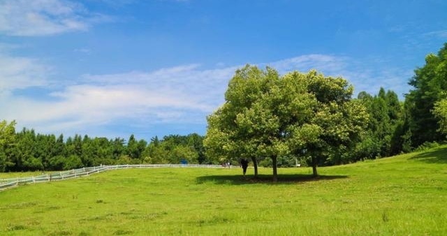 ɳƺ��6000�O���޲��ѻ����ɺ�����ʦ�����ǲ�˵�ټ���