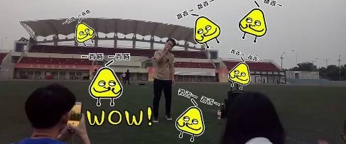 ���������������ܽ��ס��ٳ����裬���ó�Ⱥ�����̣�����ԭ����