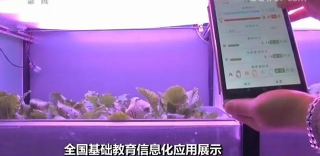 ȫ������������Ϣ��Ӧ��չʾ ��Ϣ����Ӧ�ý�ѧ�ı��Ͽη�ʽ