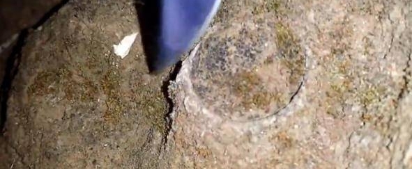 男子撬开地下一个酒瓶盖,打开后却发现剧毒生物