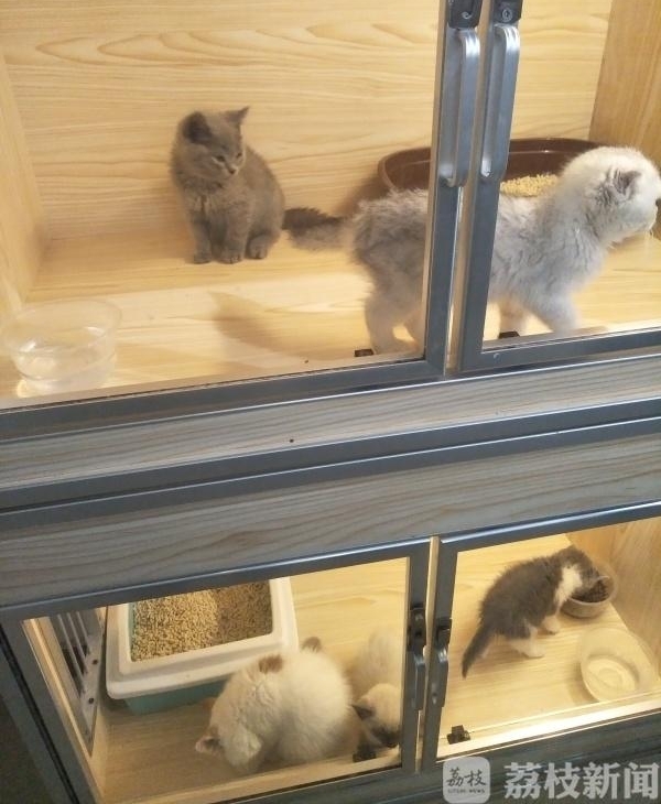 ��żè����ȴ���������� ���������������˭����