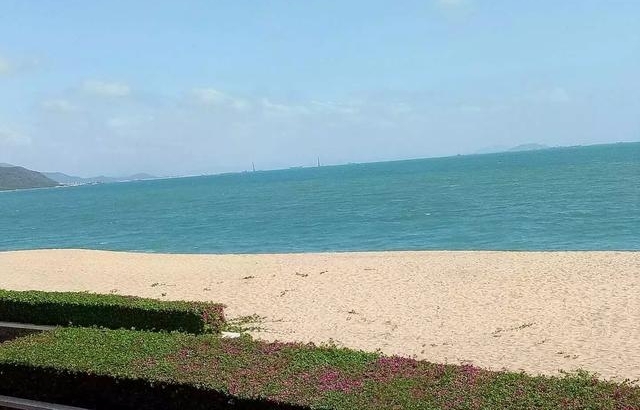 ���רҵ����Ϊ��ѧ����ᡱ��רҵ����֪����ʲôרҵ��