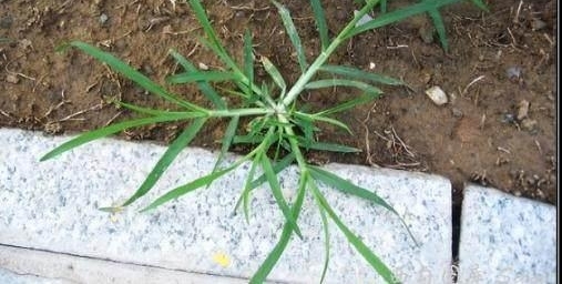 ũ���ϵĺ��ݣ���ũ�������У�ũ����˾ͰΣ����һ����20Ԫ