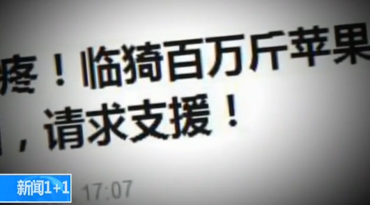 ������1+1�����ߵ��飺��ƻ����������˭�����조���顱��