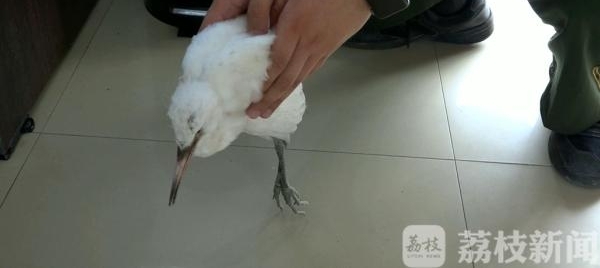 �γǣ�������������� �߾�����æӪ��