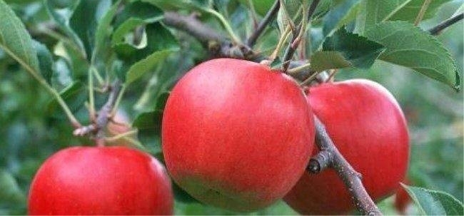 ũ����ֲ����ʿ�����������չ�5Ԫһ�4Ķ׬��16��