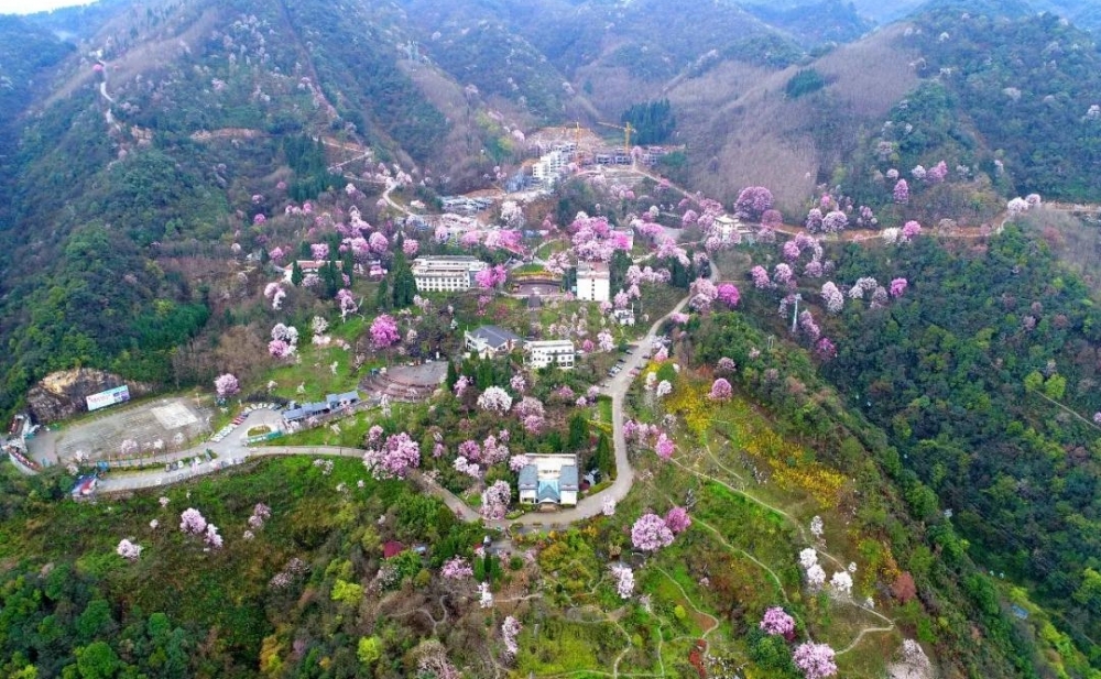 ��ҹ�����봨��ʮ��