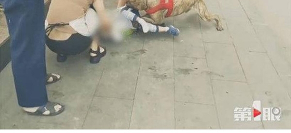 ����4��ͯ��˩�����е��ı���Ȯҧס�ȣ����˾�����ҽԺ����