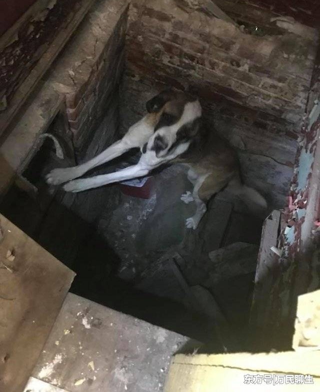 ������¥�ڳ���1���²��ϴ������������ھ�һ���Ż���