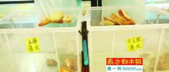 ����������ֳˮ�ζ� ������Ļᡰ���֡�