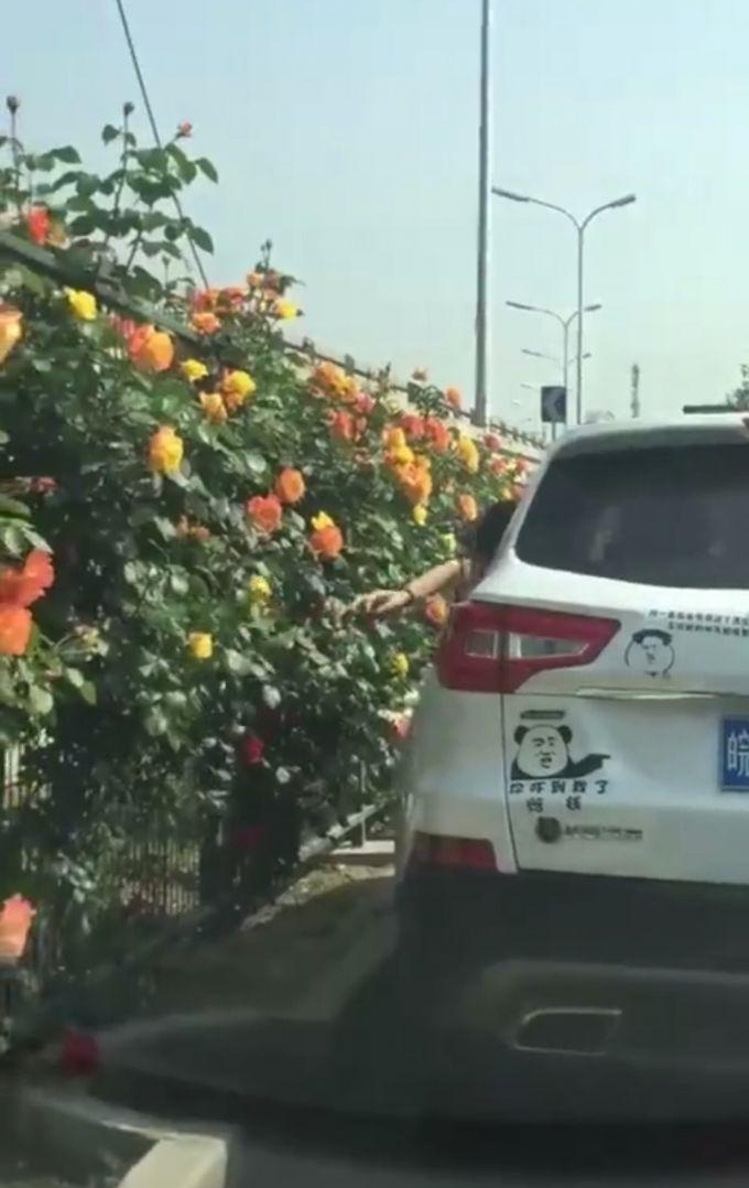 ��������һ�������ڱ������Ļ��³�ʱ���ų˿�͵��·���¼�